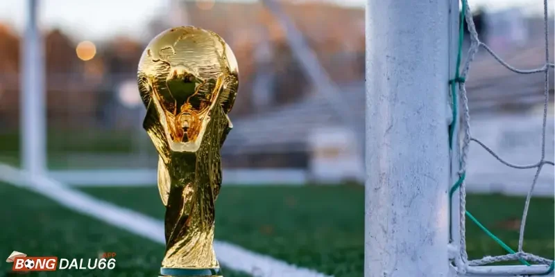Các dịch vụ phát sóng trực tuyến của World Cup 2022