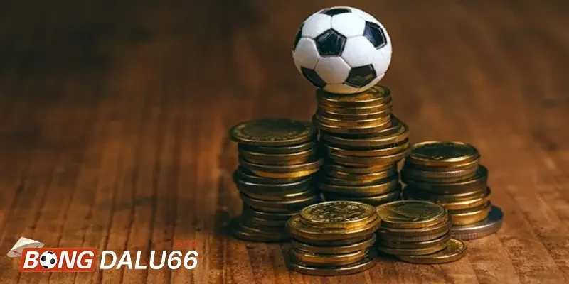 Các hình thức cá độ bóng đá phổ biến nhất trong giới cá cược