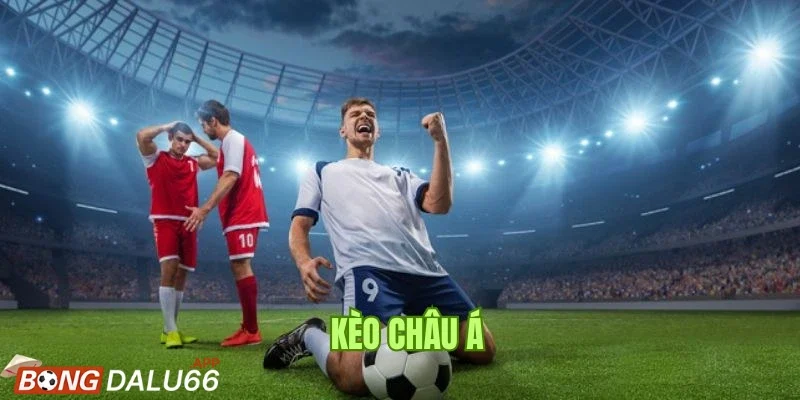 Cơ hội thắng cao hơn và tỷ lệ trả thưởng ổn định