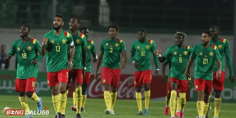 Đánh giá phong độ thi đấu gần đây Đội tuyển Cameroon