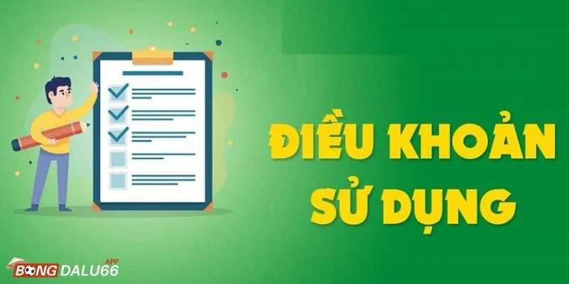 Giải đáp câu hỏi của người chơi về Điều Khoản Sử Dụng