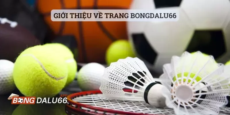 Giới thiệu về trang Bongdalu66