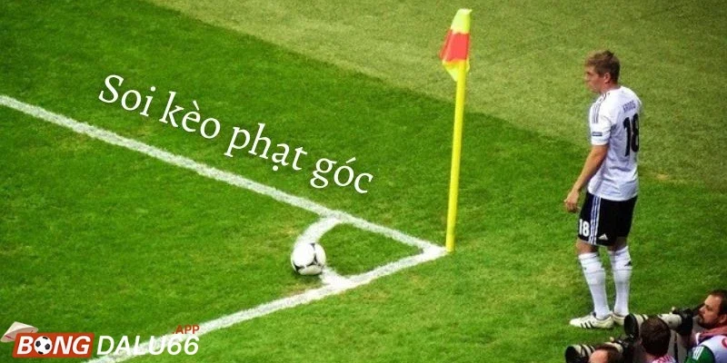 Kèo phạt góc là gì và lý do loại kèo này đang ngày càng hot