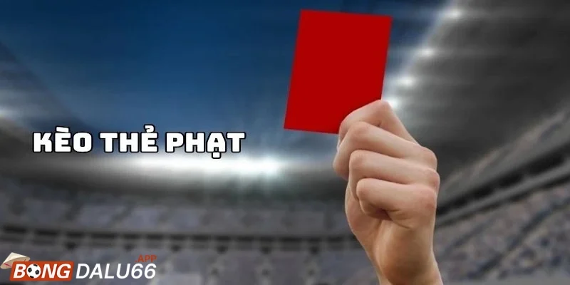 Không để ý tới trọng tài và thời tiết – yếu tố dễ bị bỏ qua