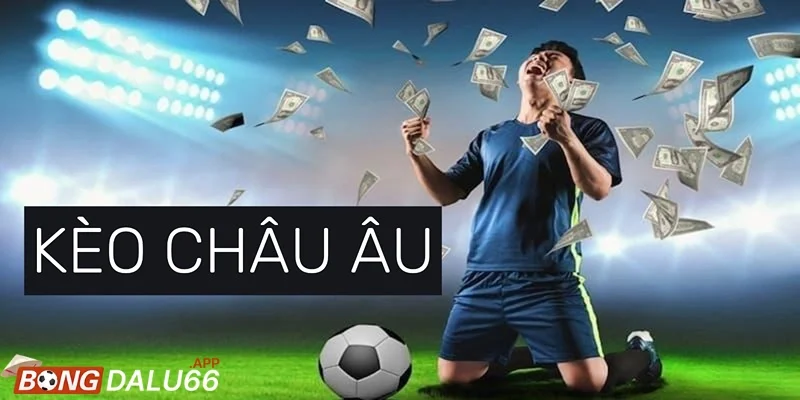 Không phân tích kỹ lợi nhuận - rủi ro của từng cửa cược