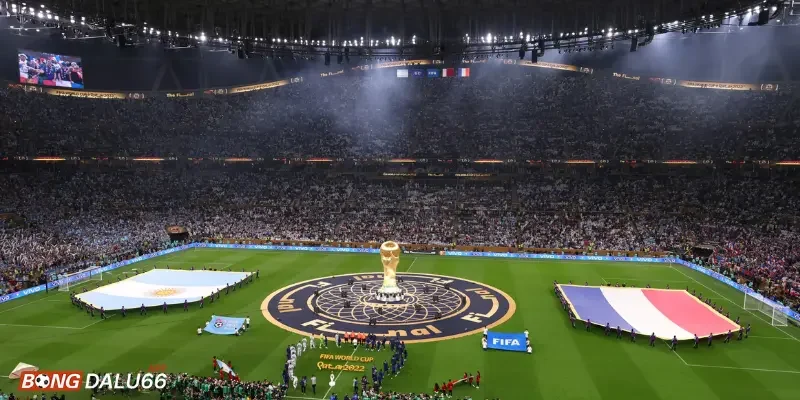 Lý do World Cup 2022 tổ chức vào tháng mấy?