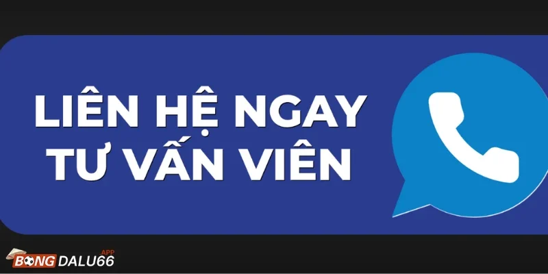 Người chơi cần chuẩn bị gì khi Liên Hệ Bongdalu66?