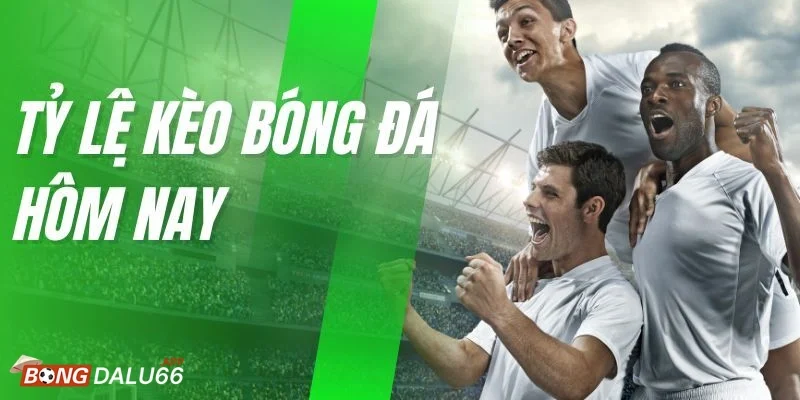 Những bí kíp chọn tỷ lệ cược kèo tăng cơ hội chiến thắng