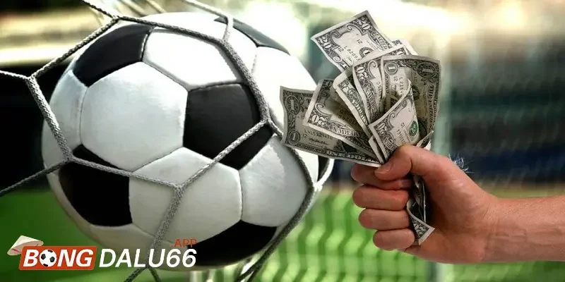 Những lưu ý khi tham gia cá cược bóng đá online