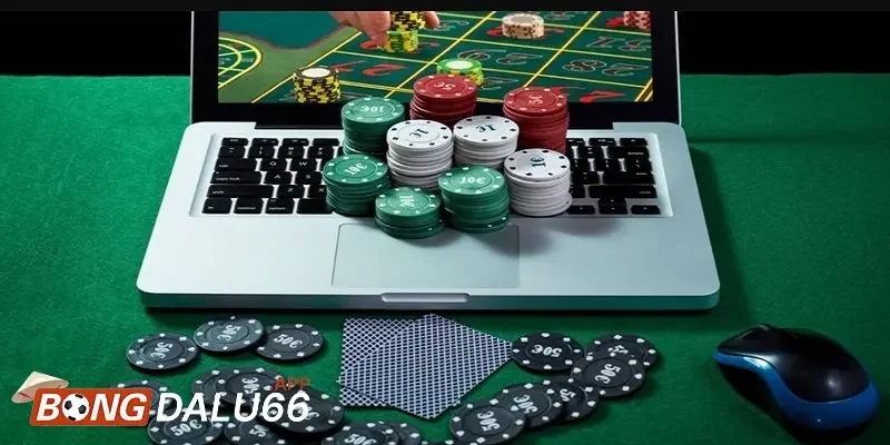 Những lưu ý quan trọng khi cá độ bóng đá