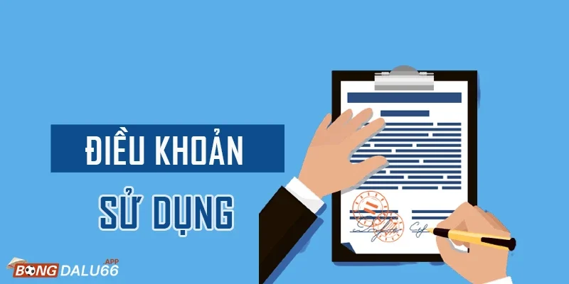 Rủi ro gặp phải khi không nắm rõ Điều Khoản Sử Dụng
