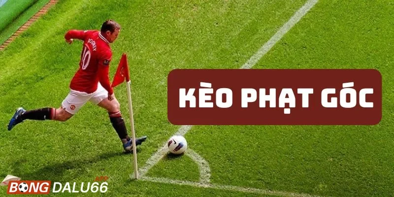 Tập trung vào yếu tố chiến thuật thay vì may rủi