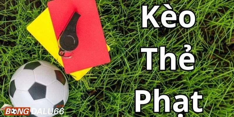 Thích hợp cho người hiểu sâu về chiến thuật và nhịp độ