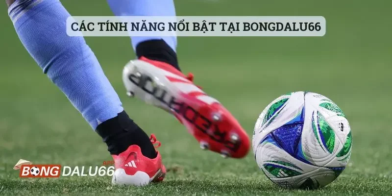 Các tính năng nổi bật tại Bongdalu66