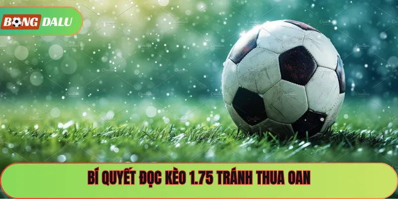 Bí quyết đọc kèo 1.75 tránh thua oan