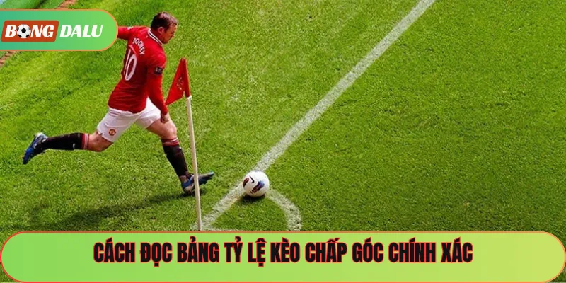 Cách đọc bảng tỷ lệ kèo chấp góc chính xác