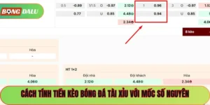 Cách Tính Tài Xỉu Bóng Đá