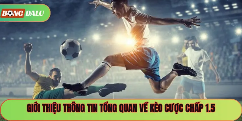 Giới thiệu thông tin tổng quan về kèo cược chấp 1.5