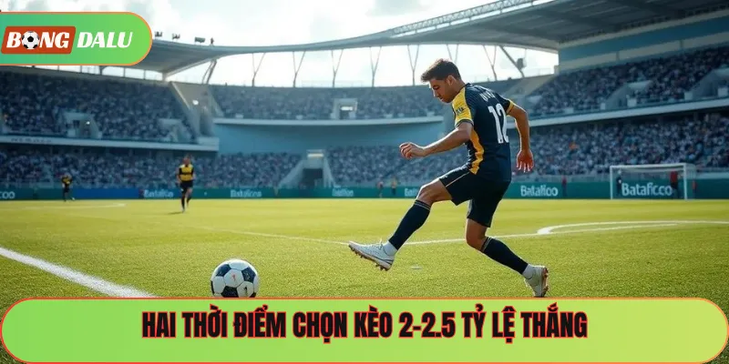 Hai thời điểm chọn kèo 2-2.5 tỷ lệ thắng