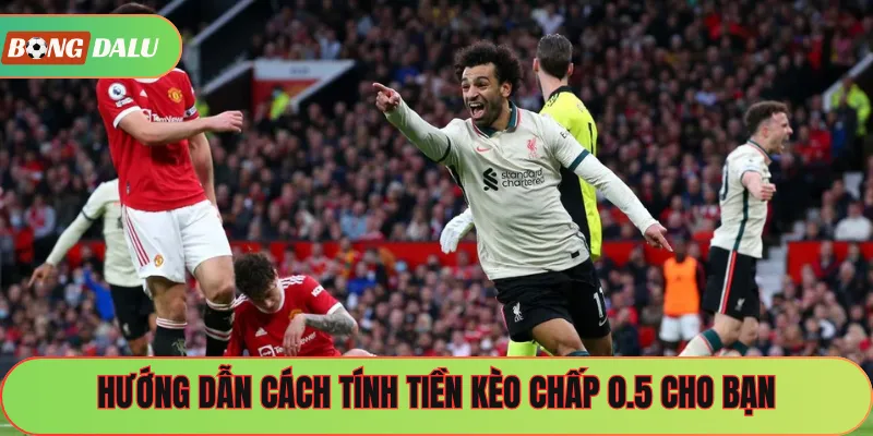 Hướng dẫn cách tính tiền kèo chấp 0.5 cho bạn