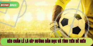 Kèo Chẵn Lẻ Là Gì? Hướng Dẫn Đọc Và Tính Tiền Dễ Hiểu