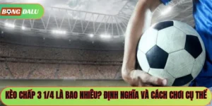 Kèo Chấp 3 1/4 Là Bao Nhiêu? Định Nghĩa Và Cách Chơi Cụ Thể