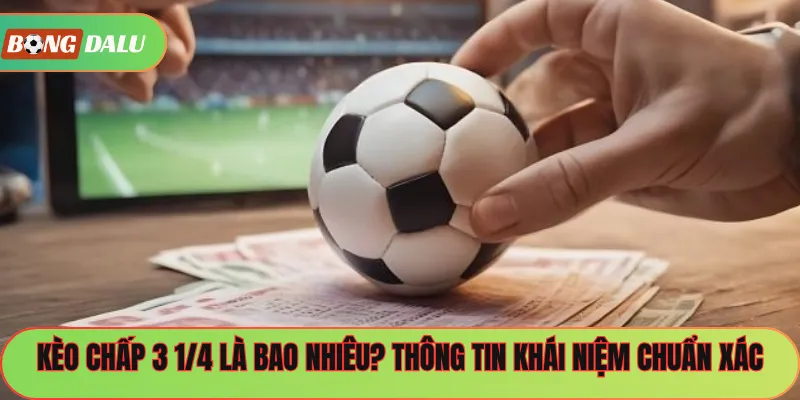 Kèo chấp 3 1/4 là bao nhiêu? Thông tin khái niệm chuẩn xác