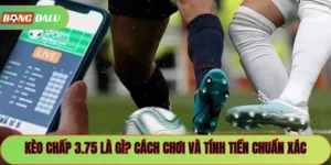 Kèo Chấp 3.75 Là Gì? Cách Chơi Và Tính Tiền Chuẩn Xác