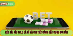 Kèo Tài Xỉu 1/1.5 Là Gì Và Chi Tiết Cách Đặt Cược Cơ Bản