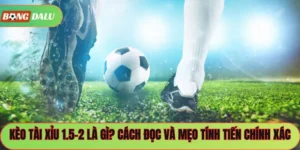 Kèo Tài Xỉu 1.5-2 Là Gì? Cách Đọc Và Mẹo Tính Tiến Chính Xác