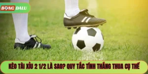 Kèo Tài Xỉu 2 1/2 Là Sao? Quy Tắc Tính Thắng Thua Cụ Thể