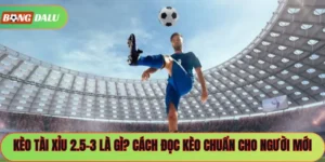 Kèo Tài Xỉu 2.5-3