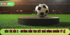 Kèo Tài Xỉu 2 – Hướng Dẫn Tra Kết Quả Đúng Chuẩn Tỷ Lệ