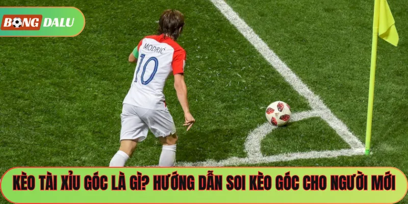 Kèo Tài Xỉu Góc Là Gì? Hướng Dẫn Soi Kèo Góc Cho Người Mới