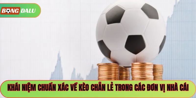 Khái niệm chuẩn xác về kèo chẵn lẻ trong các đơn vị nhà cái