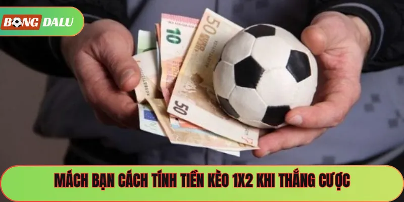 Mách bạn cách tính tiền kèo 1x2 khi thắng cược