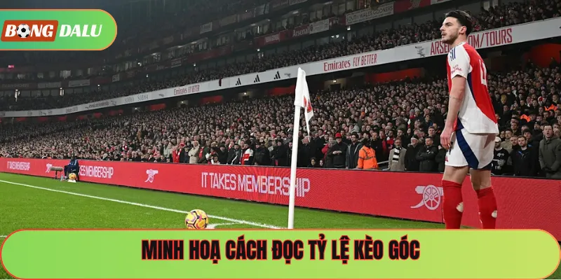 Minh hoạ cách đọc tỷ lệ kèo góc