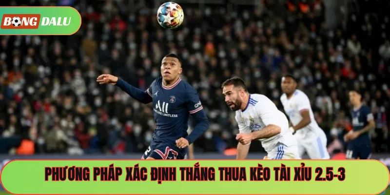 Phương pháp xác định thắng thua kèo tài xỉu 2.5-3