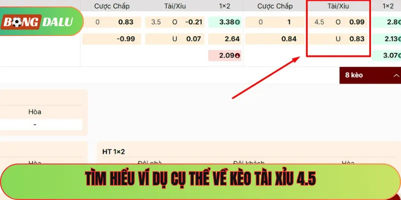 Tìm hiểu ví dụ cụ thể về kèo tài xỉu 4.5