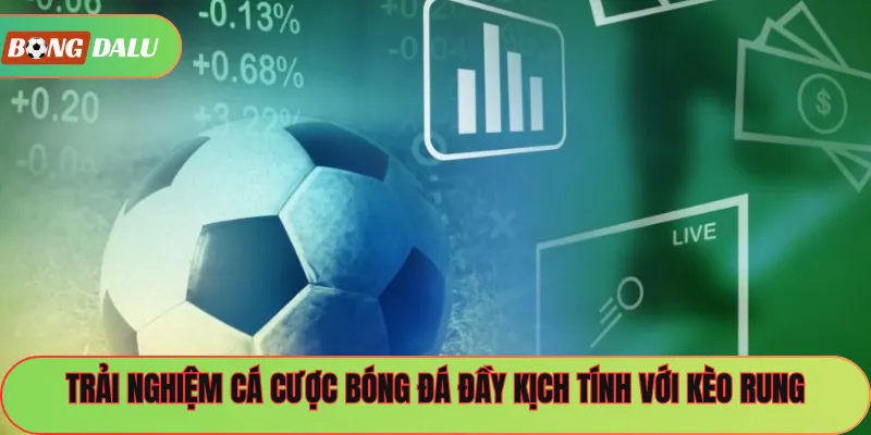 Trải nghiệm cá cược bóng đá đầy kịch tính với kèo rung