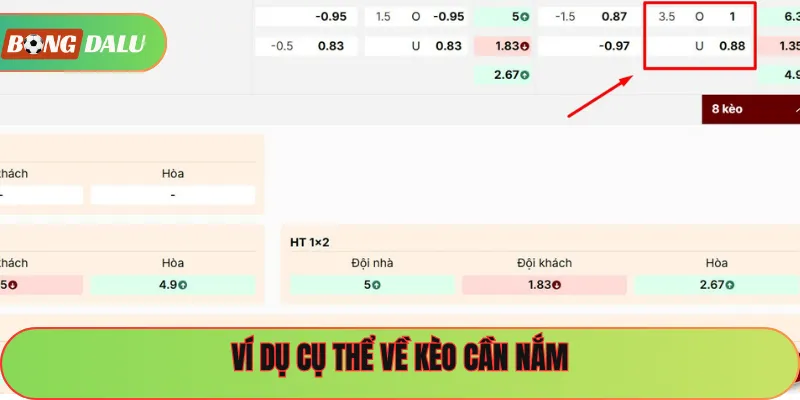 Ví dụ cụ thể về kèo cần nắm