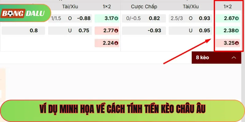 Ví dụ minh họa về cách tính tiền kèo châu Âu